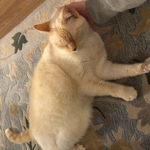 Meet your Posher, Cori